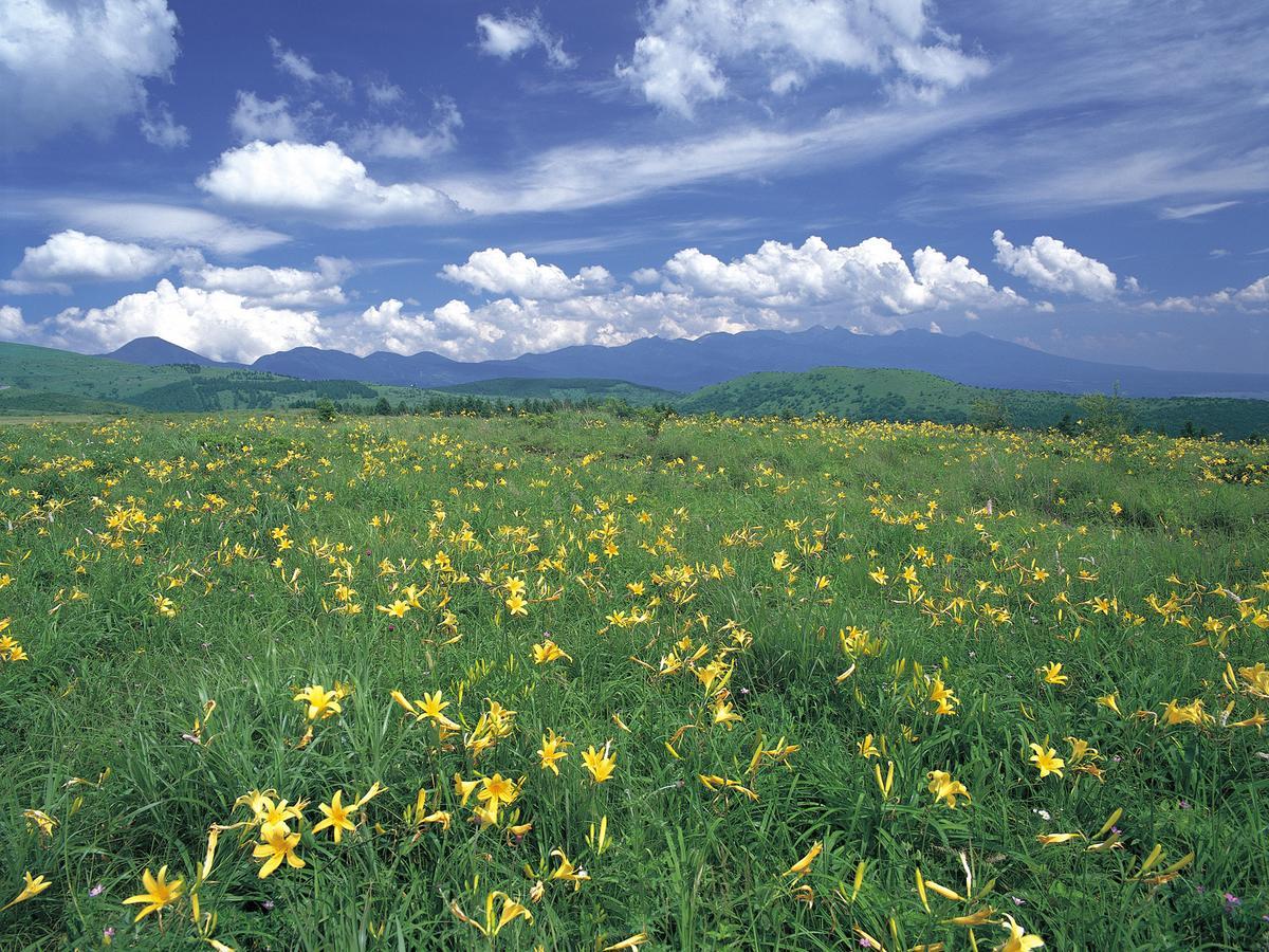 โรงแรมซุวะ เลคไซด์ ภายนอก รูปภาพ